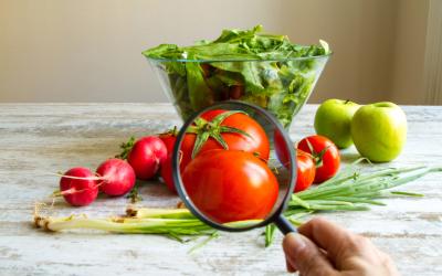 Auf einem Tisch steht eine Schüssel Salat, Radieschen, Frühlingszwiebel, Tomaten und Äpfel. Eine große Lupe wird von einer Hand auf die Tomaten gehalten, wodurch sie im Bild größer erscheinen.