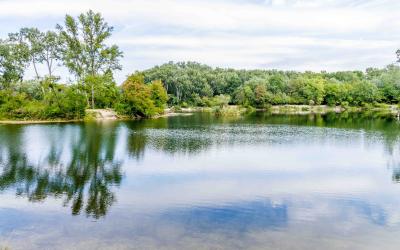 Panoramabild der Lobau mit blauem Wasser, in dem sich die grünen Bäume und Büsche spiegeln