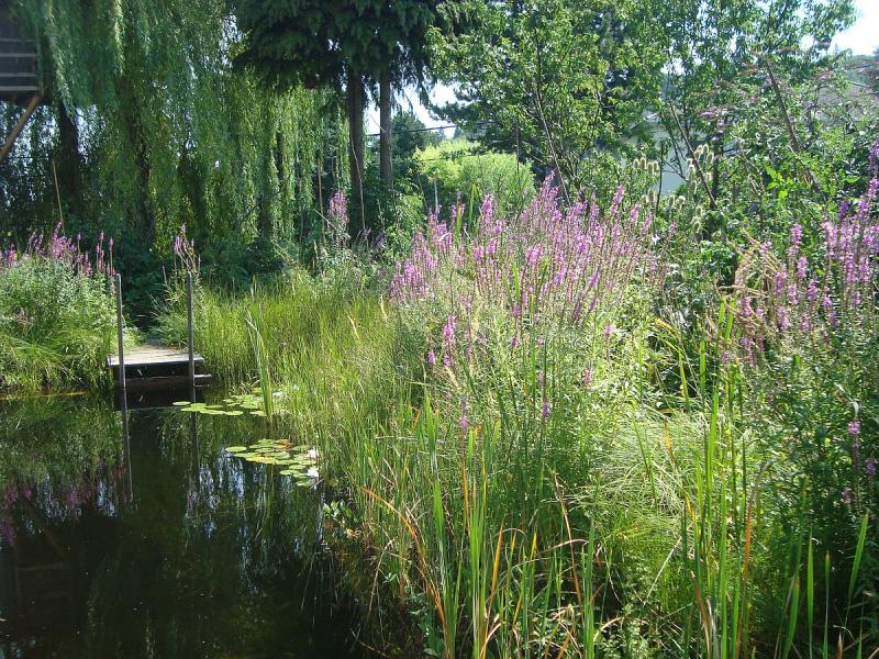 Nationalpark Garten Fotowettbewerb Gewinnerfoto Platz 2