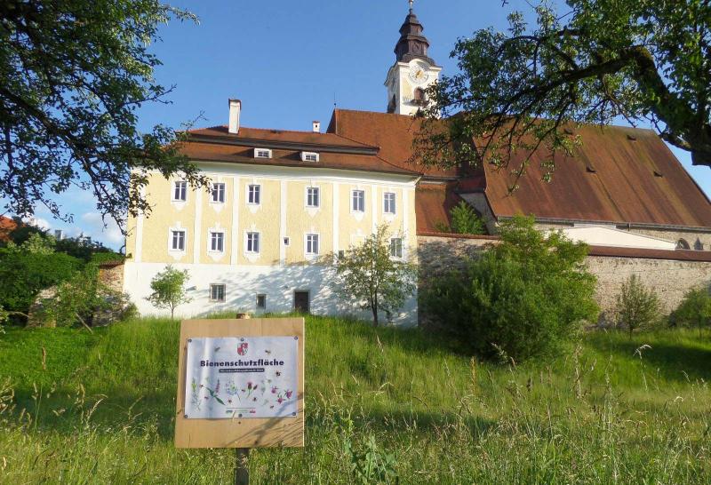 Bienenschutzfläche der Gemeinde Eferding