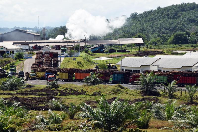 Palmölmühle in Indonesien