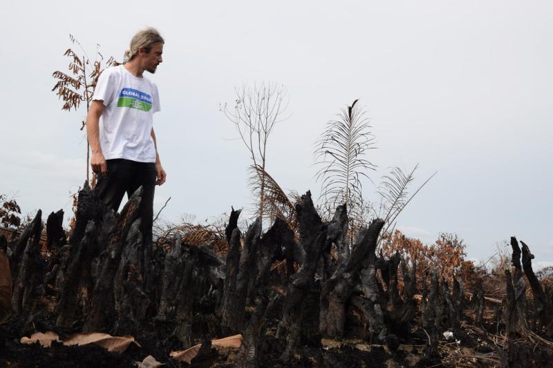 Verbranntes Land in Pekanbaru