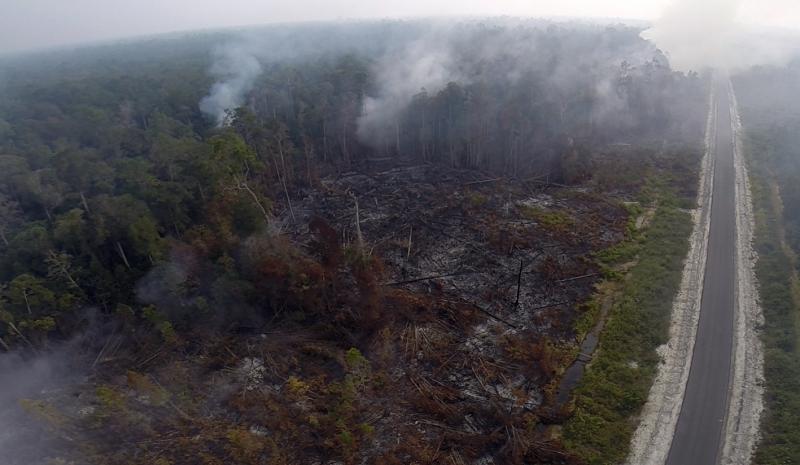 Waldbrand in Indonesien