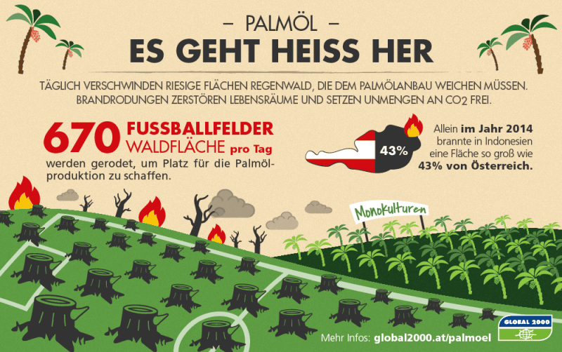 Grafik: Brände durch Palmölanbau