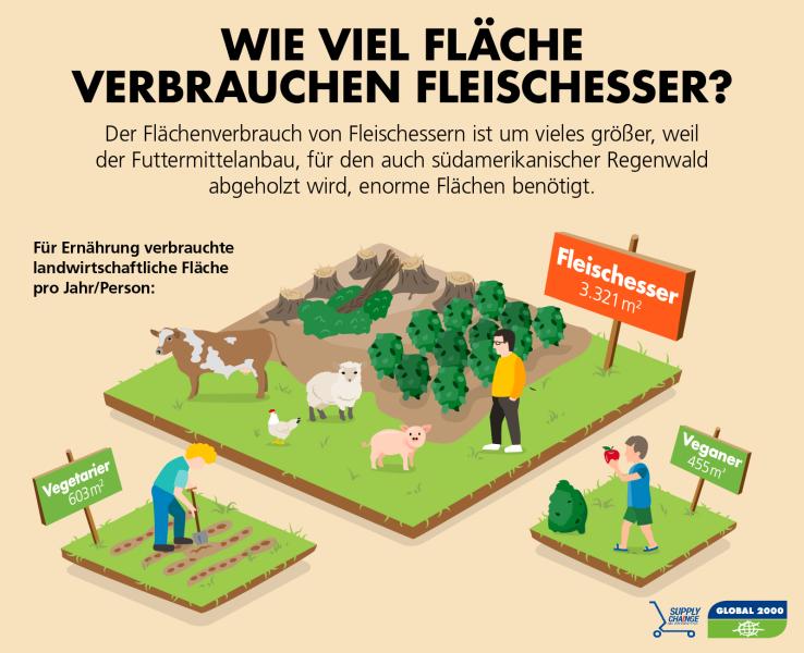 Flächenverbrauch von Fleischessern vs. Vegetariern vs. Veganern