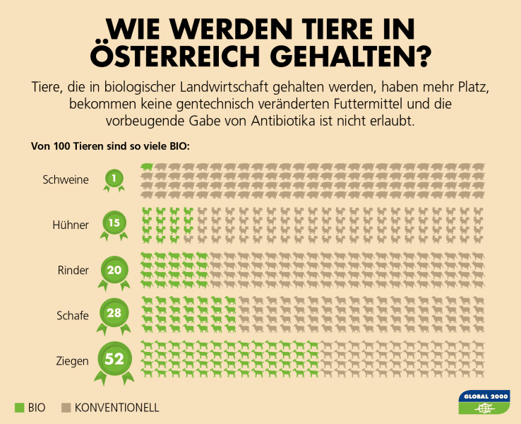 Nutztierhaltung in Österreich