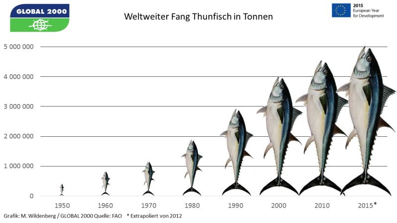 Fisch in Dosen gefunden