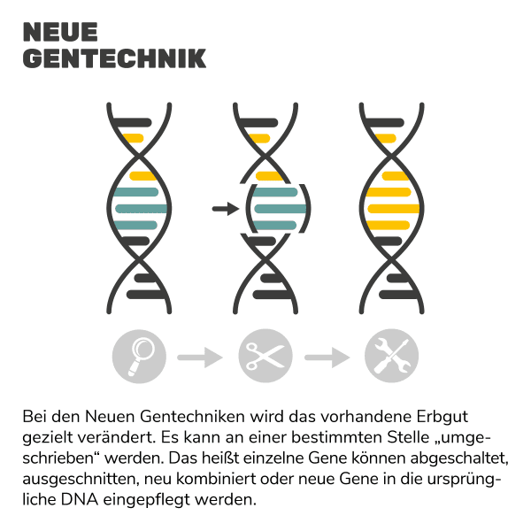 Neue Gentechnik