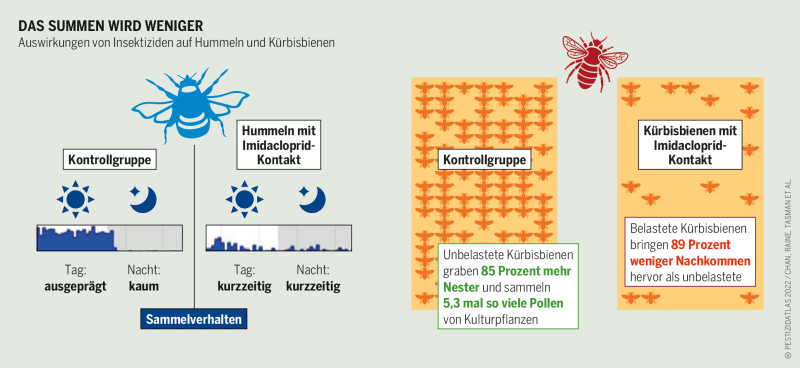 Grafik: Auswirkungen von Pestiziden auf Bienen CC BY Pestizidatlas / Eimermacher / Puchalla