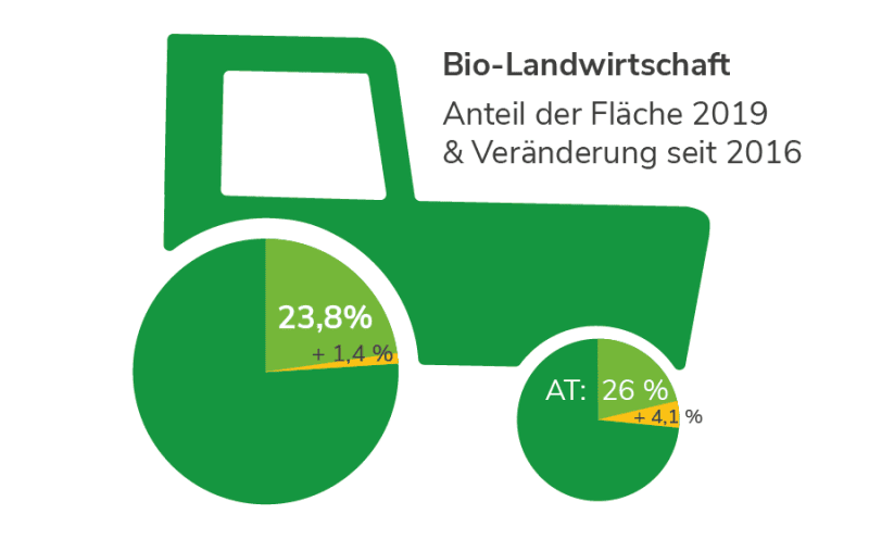 Biologische Landwirtschaft in der Steiermark