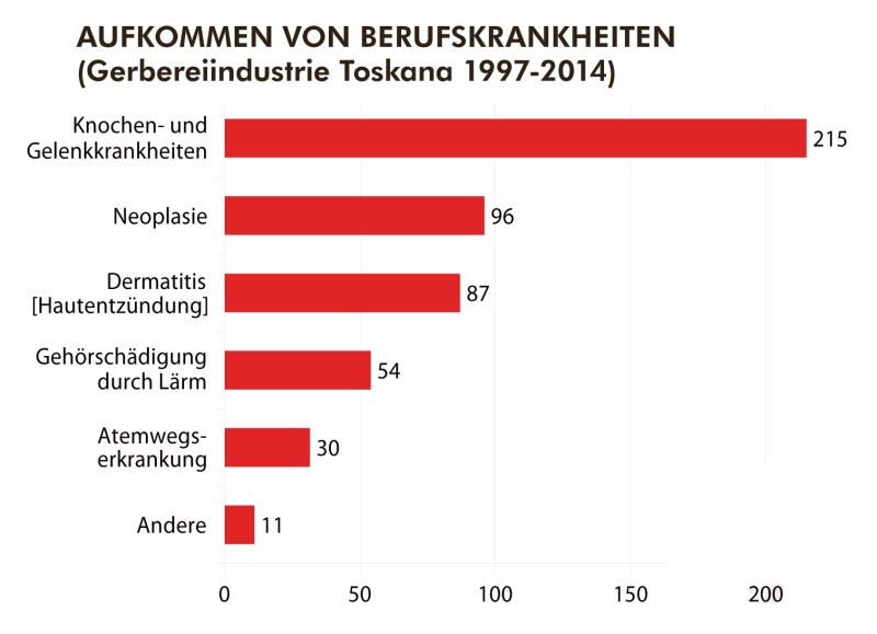 Krankheiten durch Lederproduktion