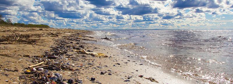 Müll am Strand