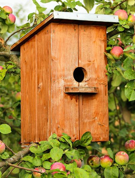 Vogelhäuschen