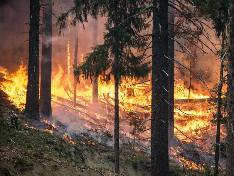 Waldbrand