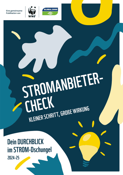 Cover des Stromanbieter-Checks