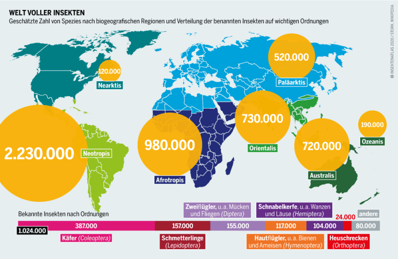 Insektenatlas 2020