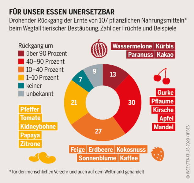 Insektenatlas 2020