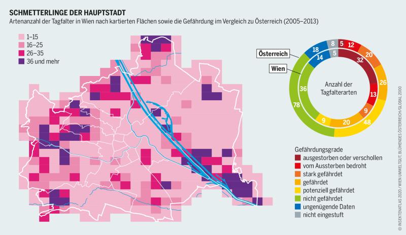 Schmetterlinge in Wien und bedrohte Tagfalter in Wien und ganz Österreich