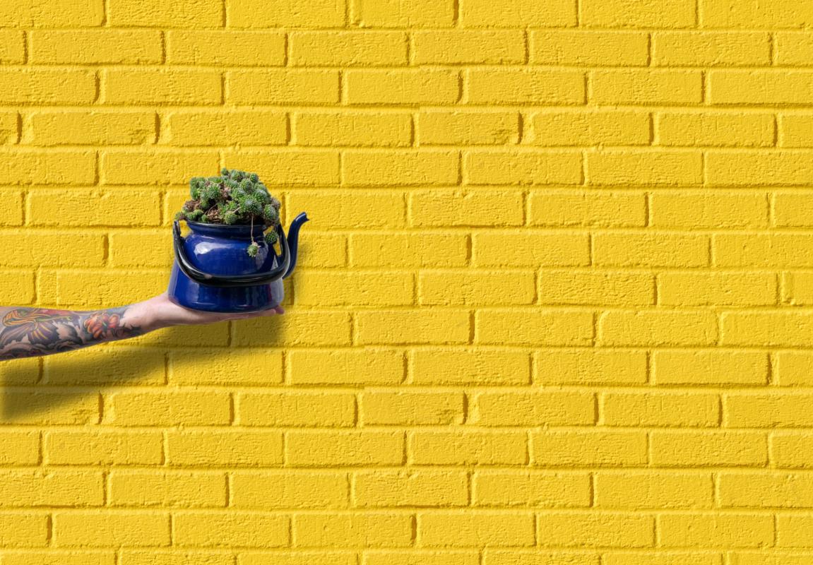 Eine tattoowierte Hand hält eine blaue Kanne mit einer darin befindenen Pflanze in der Hand. Im Hintergrund ist eine gelbe Mauer. 