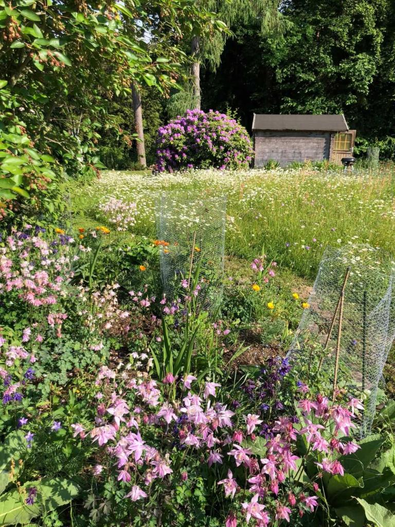 Nationalpark Garten Fotowettbewerb Gewinner Platz 5: Barbara