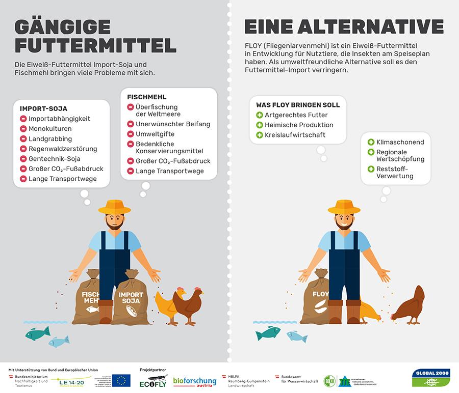 FLOY Infografik