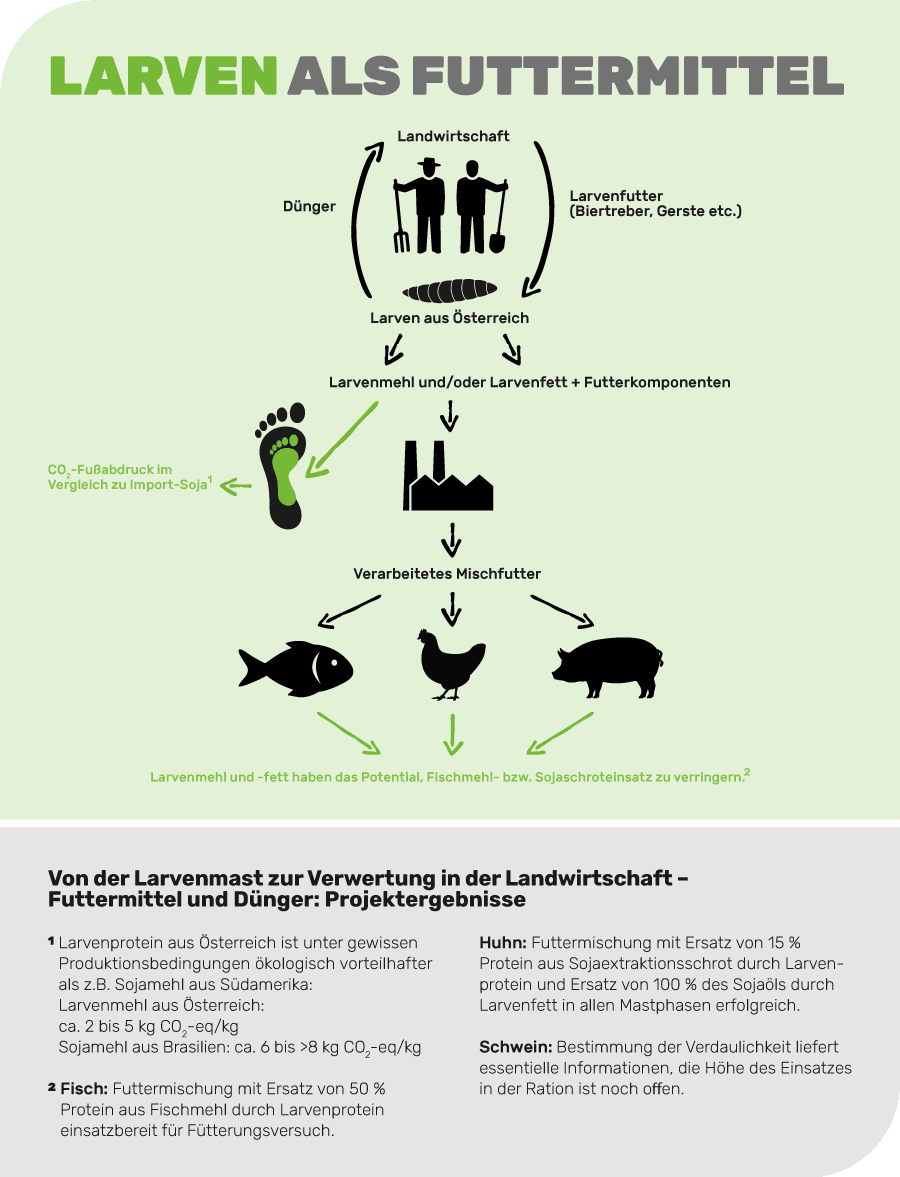 Ergebnisse unseres Larvenprojekts als Grafik