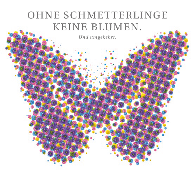 Ohne Schmetterlinge keine Blumen. Und umgekehrt.