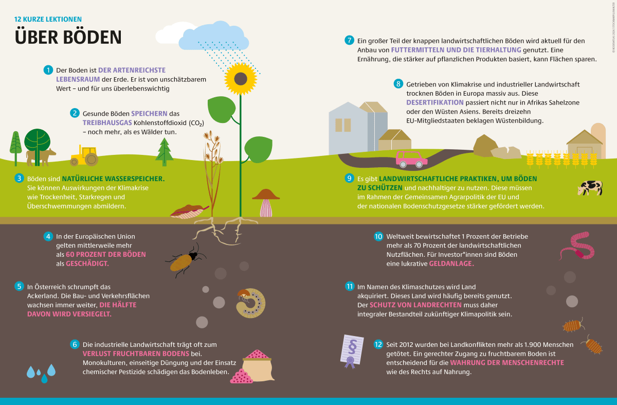 Grafik mit Fakten zu Böden