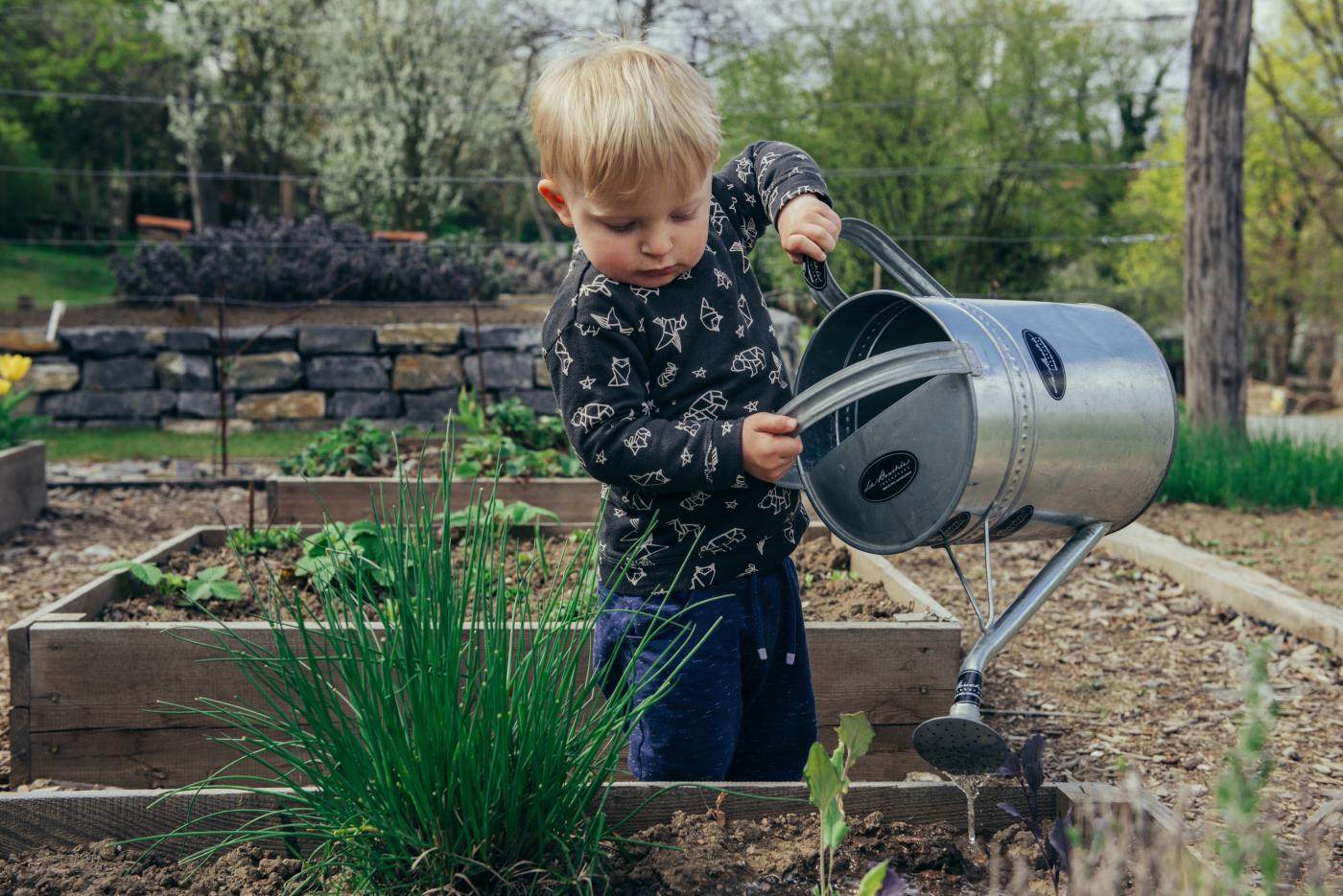 Gemeinschaftsgarten - gemeinsam die Natur erleben