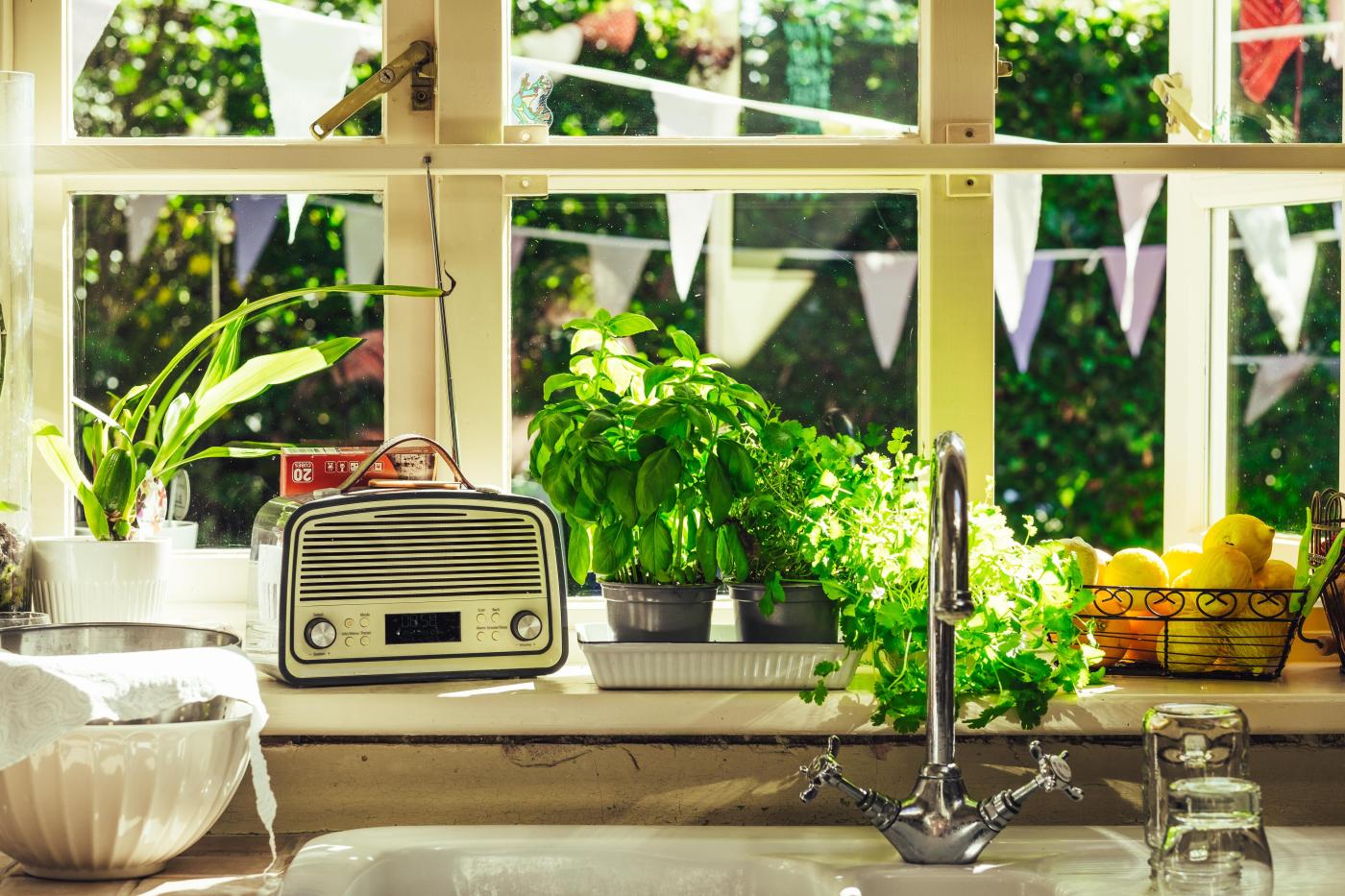 Indoor Garten