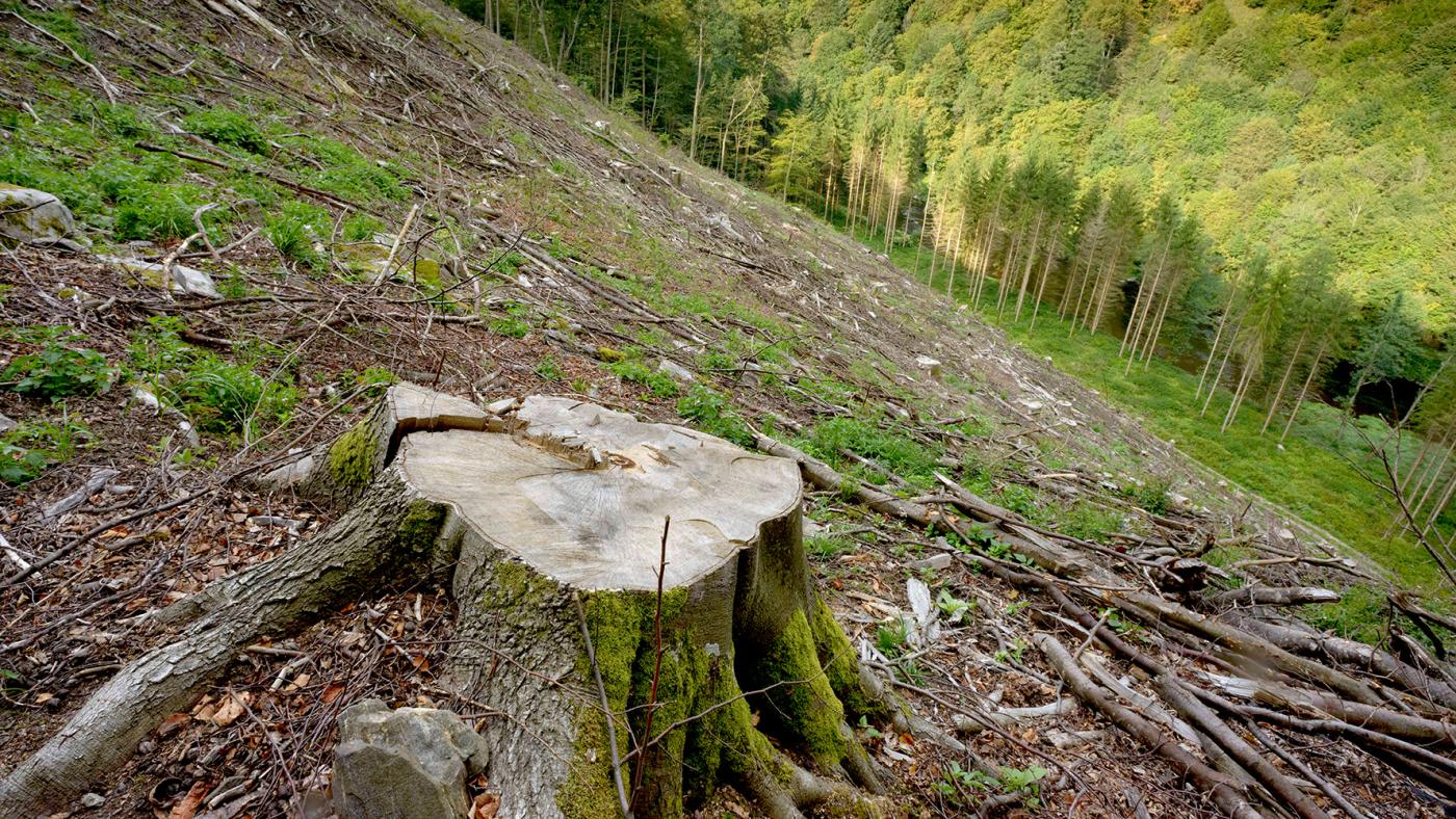 Kamp- und Kremstal Zerstörung