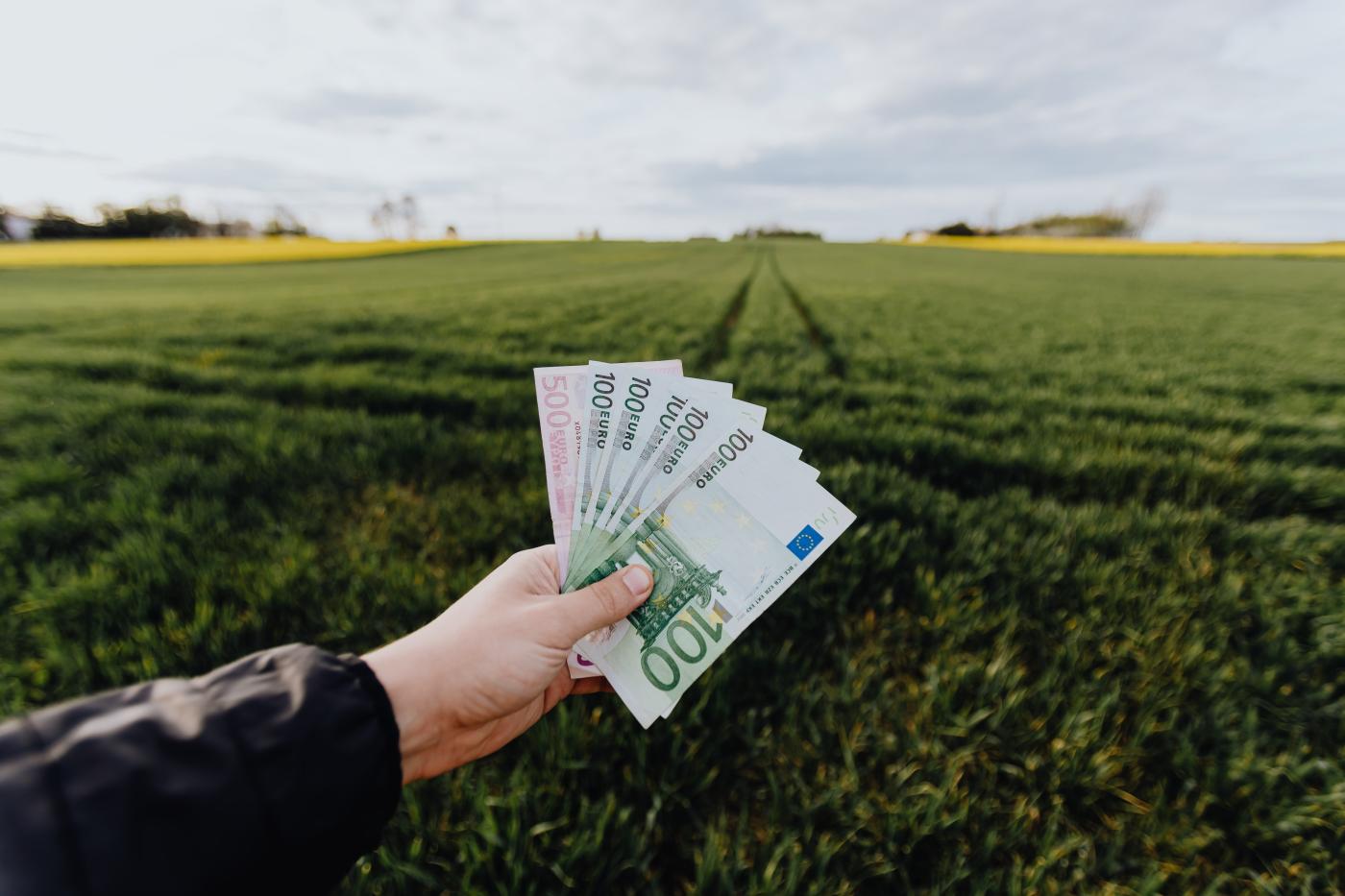 Hand hält Euro-Scheine in der Hand, im Hintergrund eine grüne landwirtschaftliche Fläche