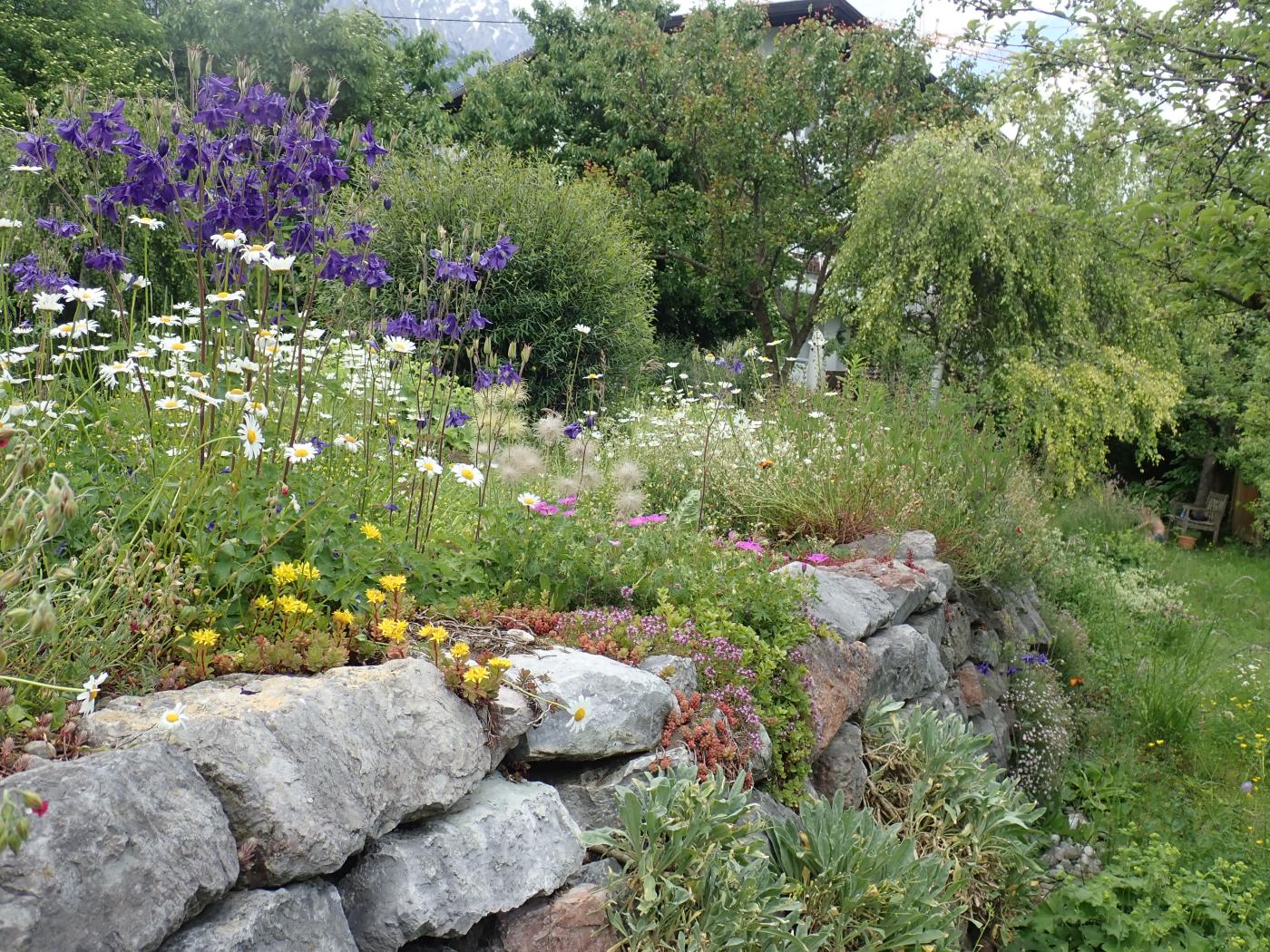 3. Platz beim Nationalpark Garten Fotowettbewerb