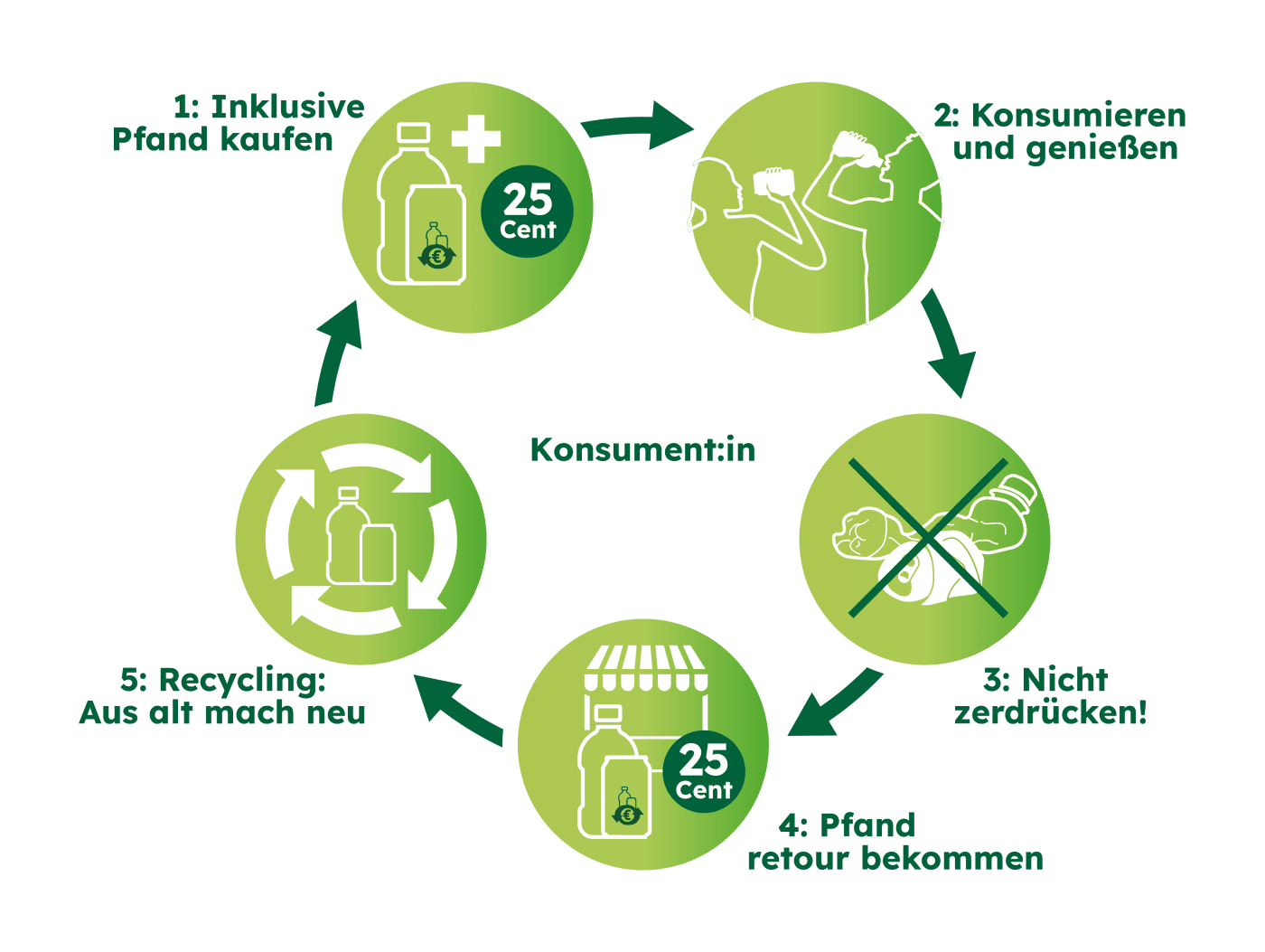 Infografik zum Pfand-Kreislauf