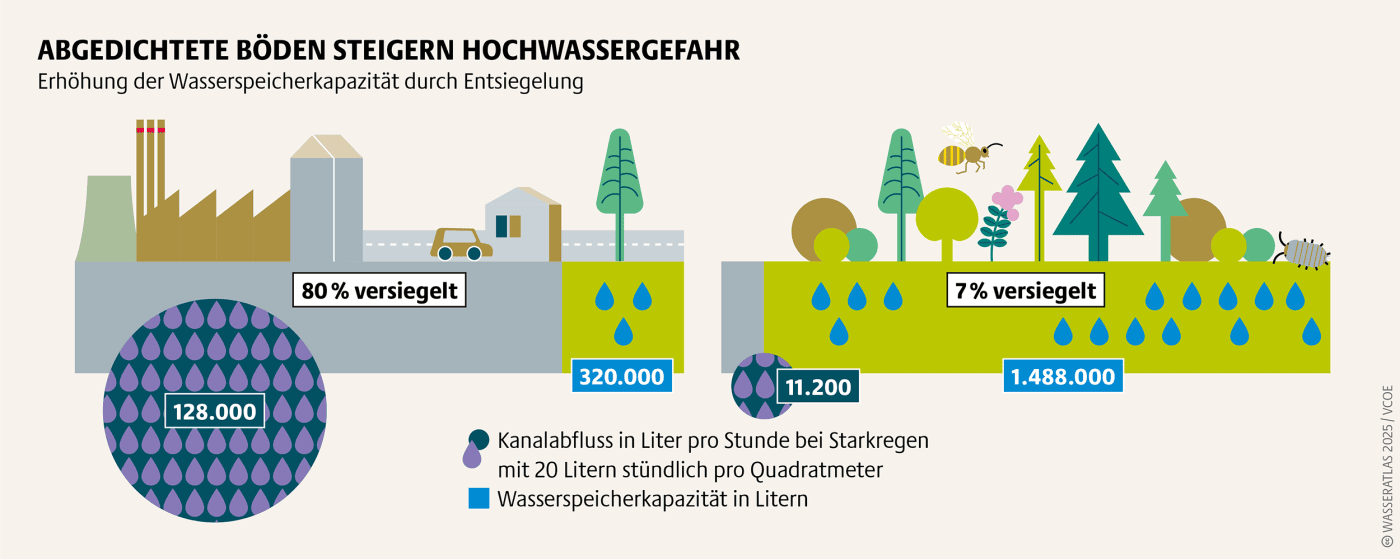 Grafische Darstellung zu abgedichtete Böden, die die Hochwassergefahr steigern