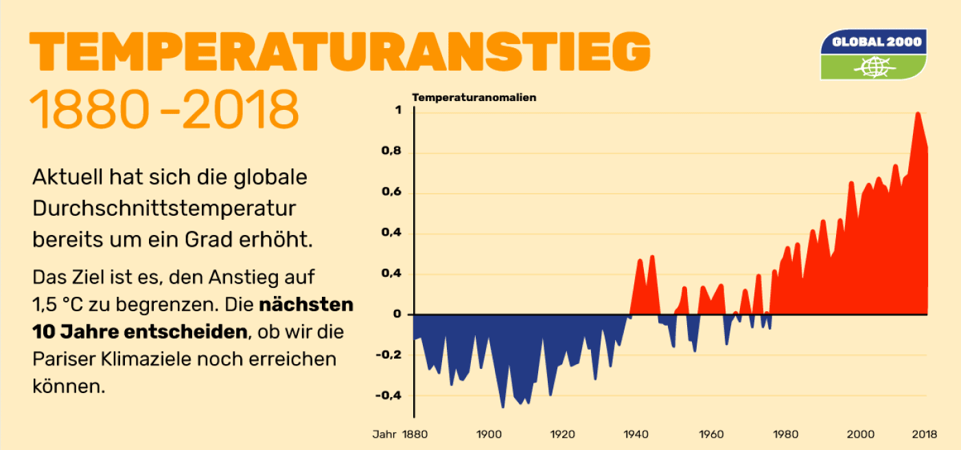 Grafik: Anstieg der Durchschnittstemperatur seit 1880