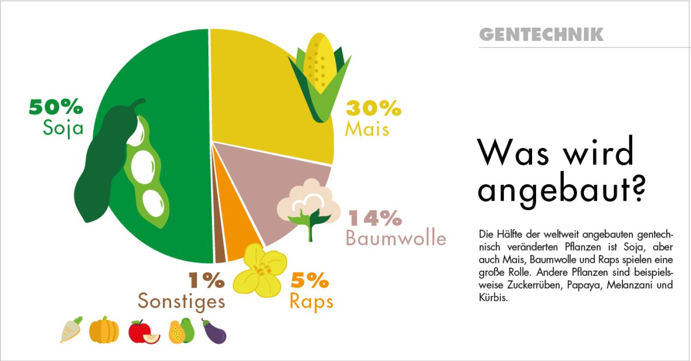 Grafik: Welche gentechnisch veränderten Pflanzen werden weltweit angebaut?