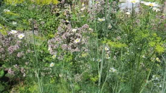 Garten von Stephan aus Niederösterreich