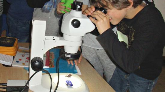 Bienenwerkstatt an Schulen