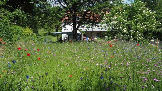 Nationalpark Garten Siegerfoto Platz 7