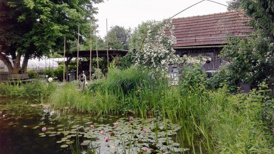 Garten von Frau Schantl