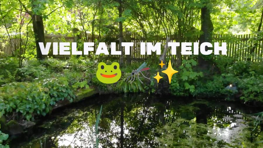 Thumbnail zu Vielfalt im Teich