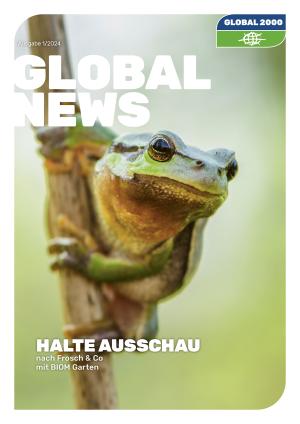 Das Cover der GLOBAL NEWS, darauf abgebildet: ein Frosch klammert sich an einem Halm fest. 