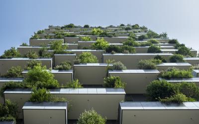 Balkon Gärtnern