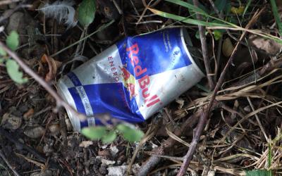 Gelitterte Red Bull Dose in der Natur