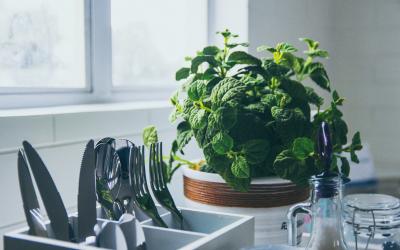 Indoor Garten