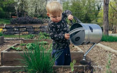 Gemeinschaftsgarten - gemeinsam die Natur erleben