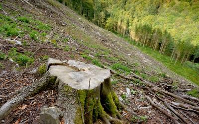 Kamp- und Kremstal Zerstörung