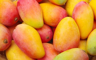 Mangos