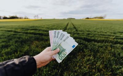 Hand hält Euro-Scheine in der Hand, im Hintergrund eine grüne landwirtschaftliche Fläche